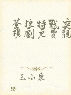 苍狼特战突击电视剧免费观看