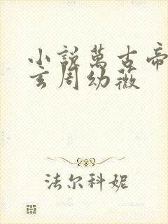 小说万古帝婿夜玄周幼薇封面