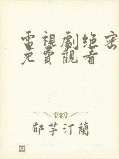 电视剧绝密孝金免费观看