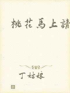 桃花马上请长缨封面