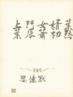 上门女婿叶辰 叶辰萧初然531