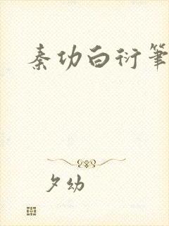 秦功白衍笔趣阁封面