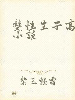 双性生子高h的小说