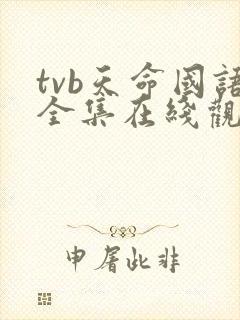 tvb天命国语全集在线观看封面