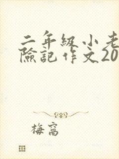 二年级小老鼠历险记作文200