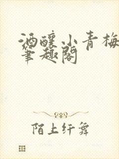 酒酿小青梅po笔趣阁