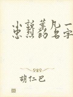 小说叶凡一门十忠烈的名字封面