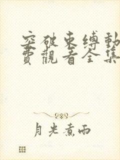 突破束缚动漫免费观看全集