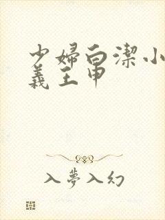 少妇白洁小说高义王申