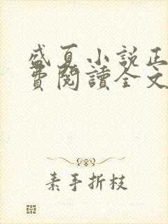 盛夏小说正版免费阅读全文