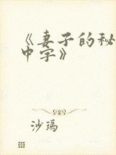 《妻子的秘密3中字》