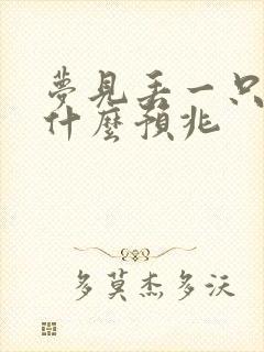 梦见丢一只拖鞋什么预兆