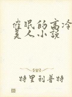 催眠的高冷双性美人小说