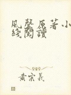 风声原著小说在线阅读