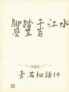 脚踏千江水是什么生肖封面