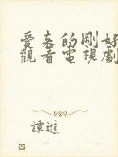 爱来的刚好免费观看电视剧