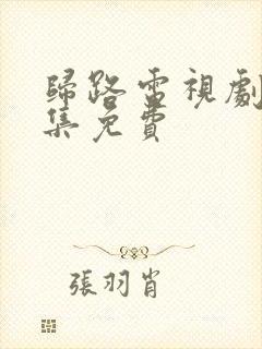 归路电视剧40集免费