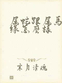 属蛇跟属马的姻缘怎么样