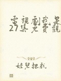 电视剧我是刑警27集免费观看