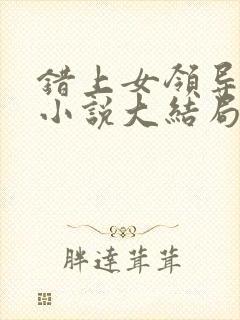 错上女领导官场小说大结局