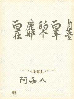 白鹿的白月梵星在哪个平台播出