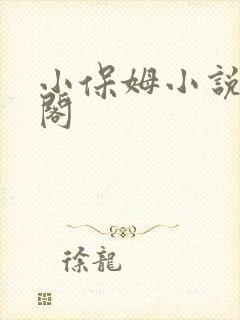 小保姆小说笔趣阁