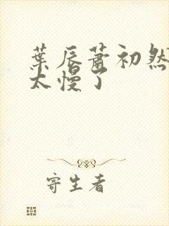 叶辰萧初然更新太慢了封面