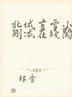 北城有雪小说无删减在线阅读封面