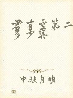 君有云第二季有多少集