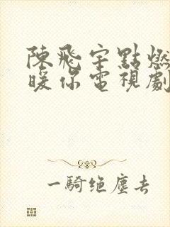 陈飞宇点燃我温暖你电视剧免费观看