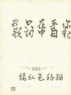 我只在乎你日语歌词中日对照封面