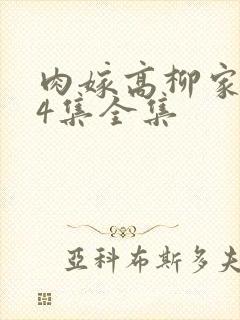 肉嫁高柳家1～4集全集