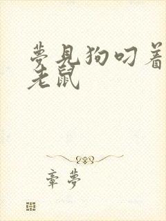 梦见狗叼着一只老鼠封面