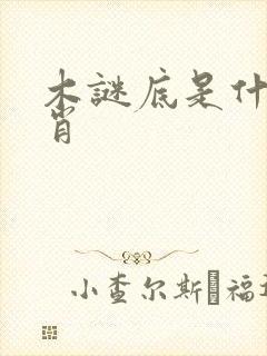 木谜底是什么生肖封面