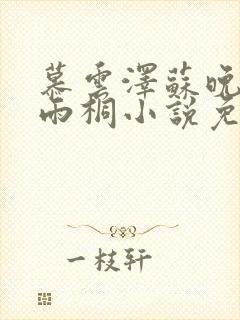 慕云泽苏晚晴夏雨桐小说免费阅读