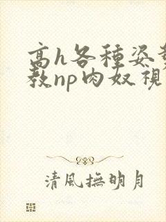 高h各种姿势调教np肉奴视频封面