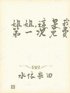 姐姐,这是我的第一次免费观看封面