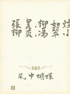 张昊,柳如烟,柳爽,冯翠小说