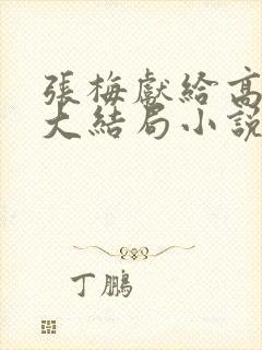 张梅献给高书记大结局小说免费阅读