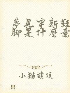 梦见穿新鞋很合脚是什么意思