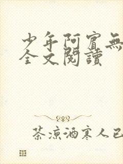 少年阿宾无删减全文阅读封面