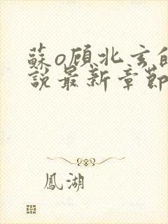 苏o顾北玄的小说最新章节免费阅读