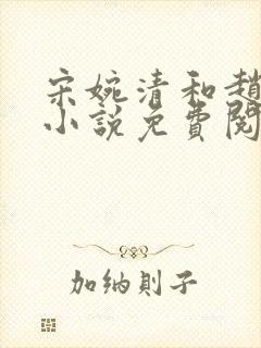 宋婉清和赵振国小说免费阅读无弹窗封面