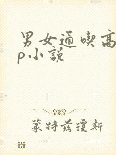 男女通吃高hnp小说封面