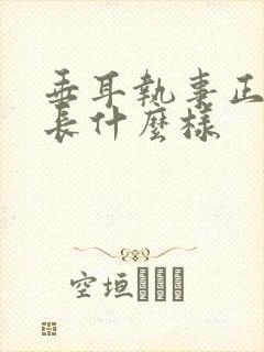 垂耳执事正版书长什么样