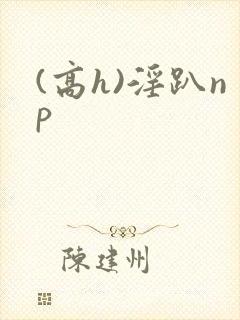 (高h)淫趴np