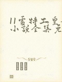 11处特工皇妃小说全集免费封面