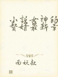 小说女神的超级赘婿最新章节