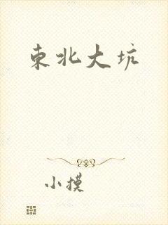 东北大坑封面
