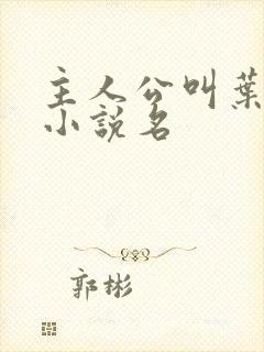 主人公叫叶昊的小说名